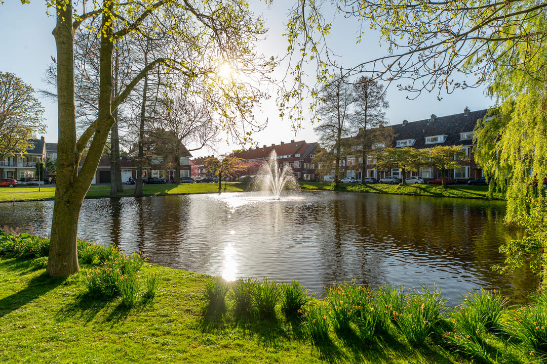 Photo 41 of Albert Cuijpstraat 18