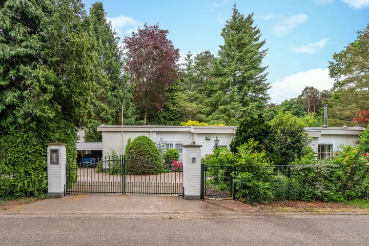 Foto 4 van Mezenlaan 1