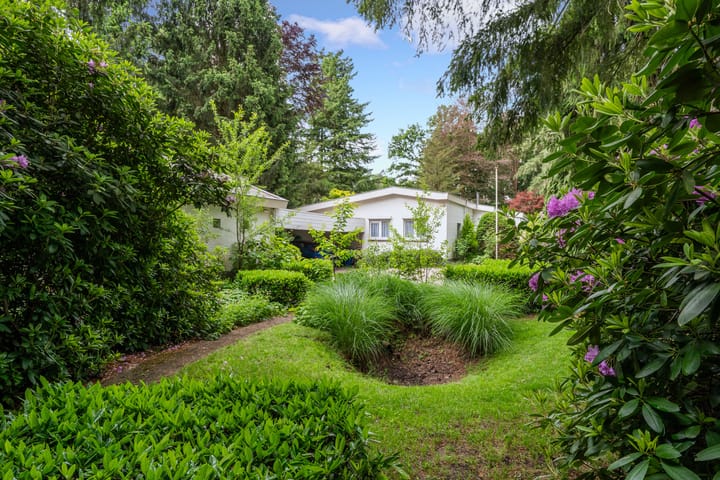 Foto 7 van Mezenlaan 1