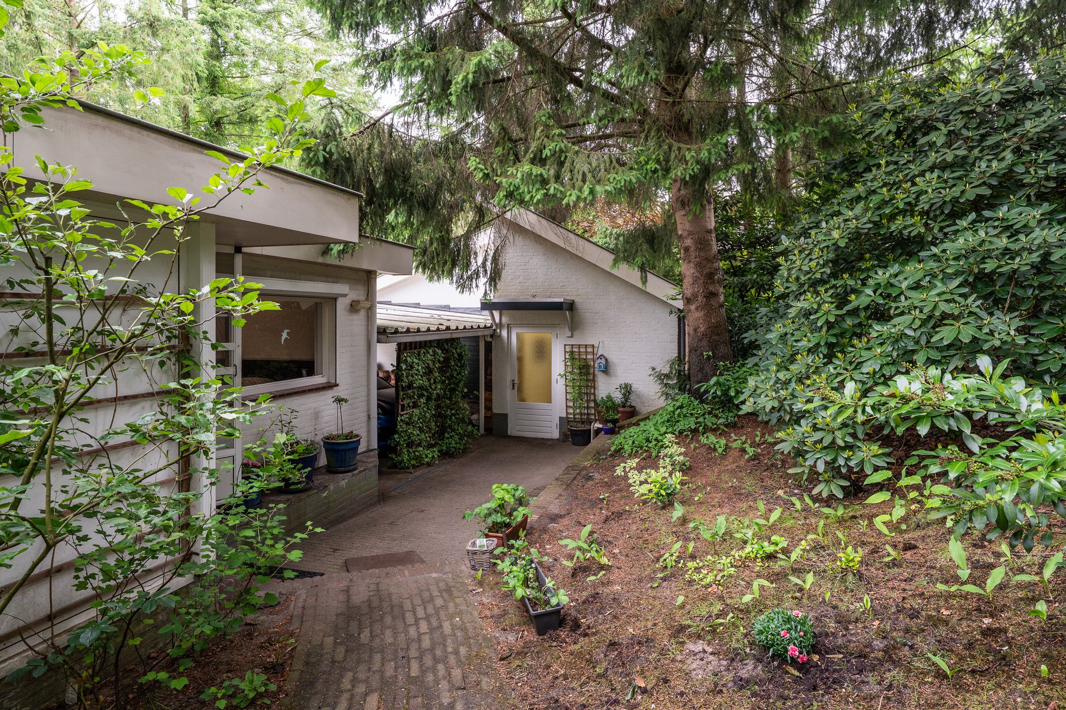 Foto 42 van Mezenlaan 1