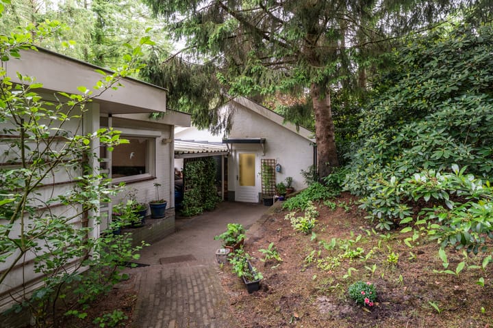 Foto 42 van Mezenlaan 1