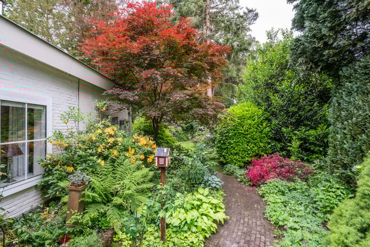 Foto 47 van Mezenlaan 1