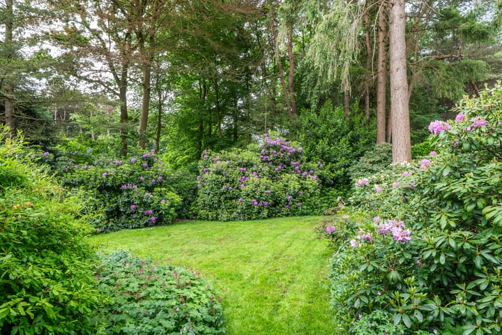 Foto 48 van Mezenlaan 1