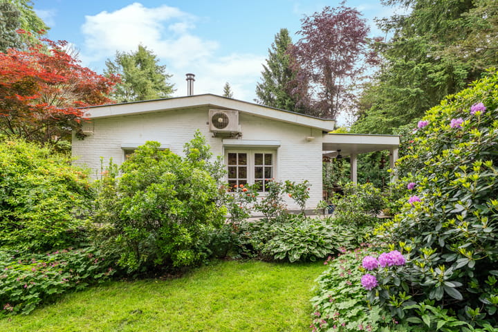 Foto 50 van Mezenlaan 1