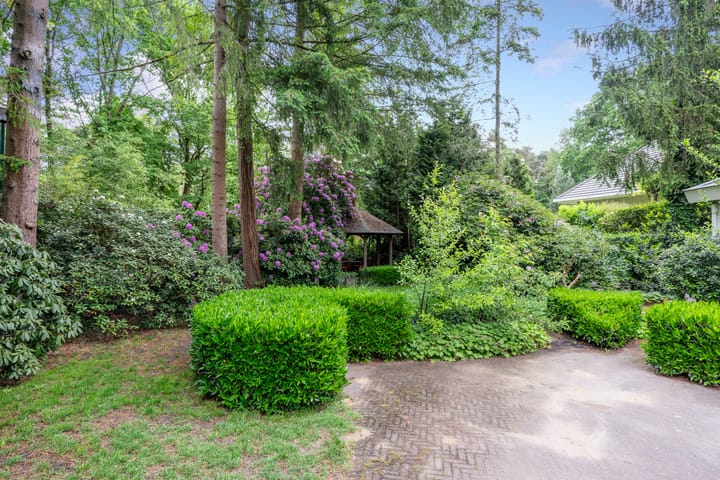 Foto 51 van Mezenlaan 1