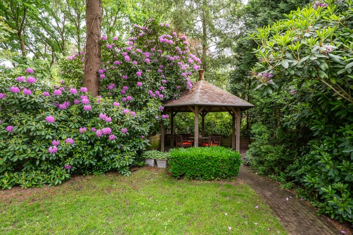 Foto 52 van Mezenlaan 1