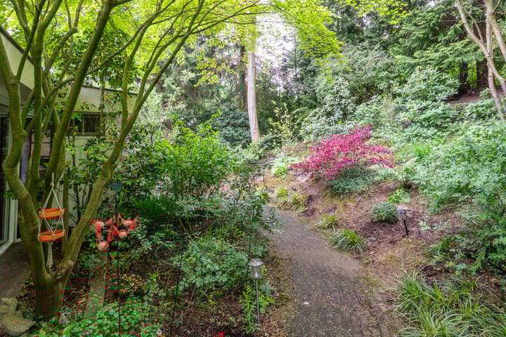 Foto 54 van Mezenlaan 1