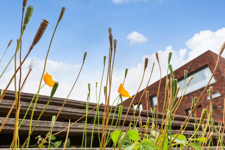 Foto 49 van Reyer Anslostraat 83