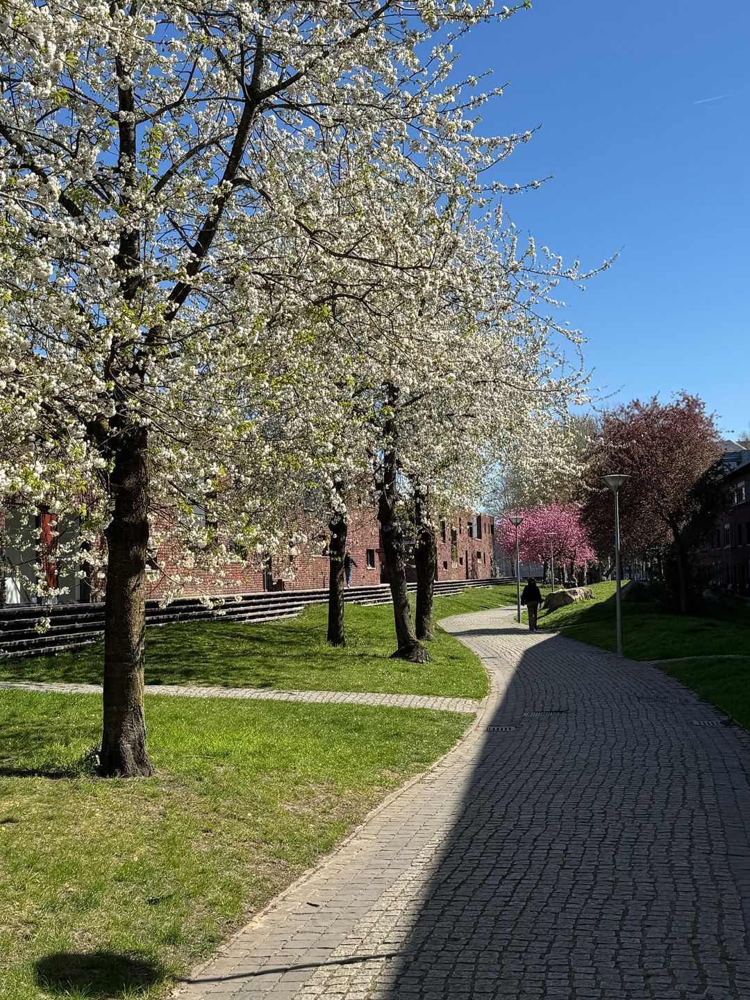 Foto 52 van Reyer Anslostraat 83