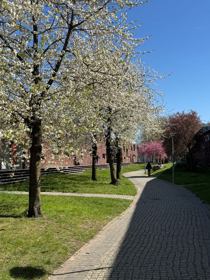 Foto 52 van Reyer Anslostraat 83