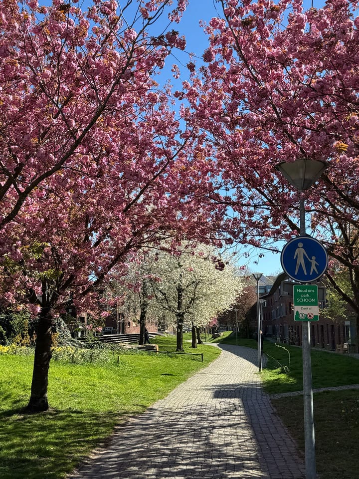 Foto 53 van Reyer Anslostraat 83