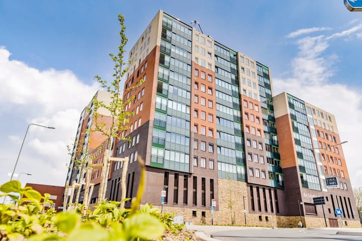 Photo 2 of Maashaven 160