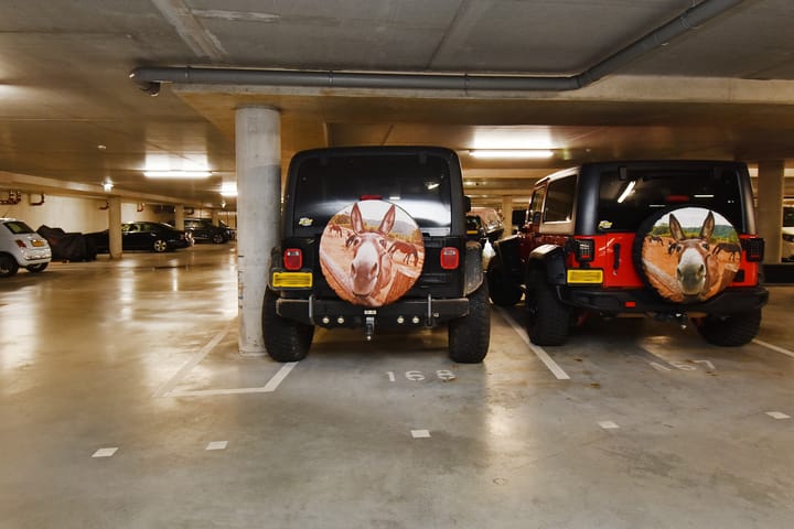 Foto 25 van Oostlaan 175