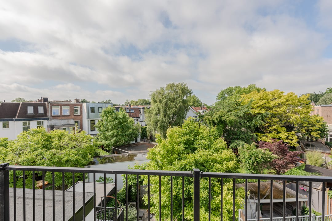 Foto 23 van Wilhelminapark 58