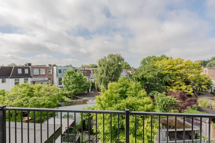 Foto 23 van Wilhelminapark 58