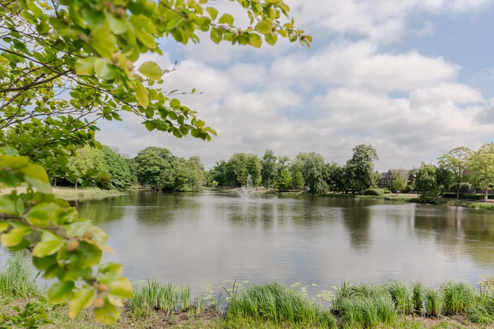 Foto 29 van Wilhelminapark 58