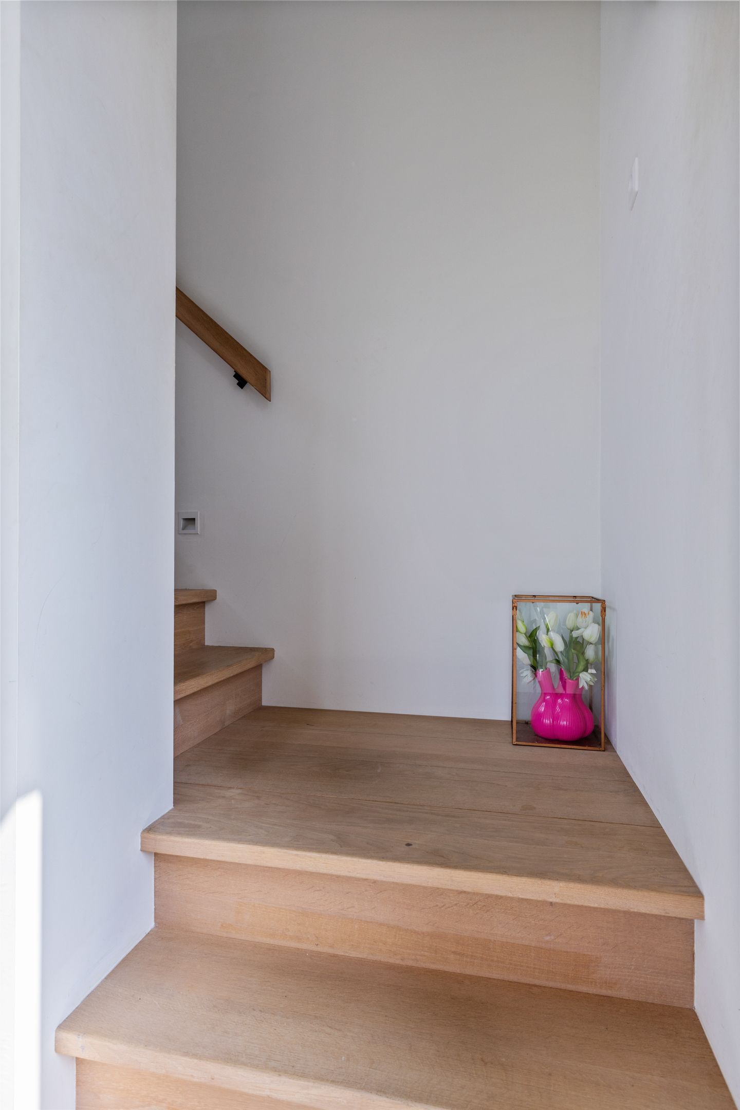 Photo 27 of Klimme 51