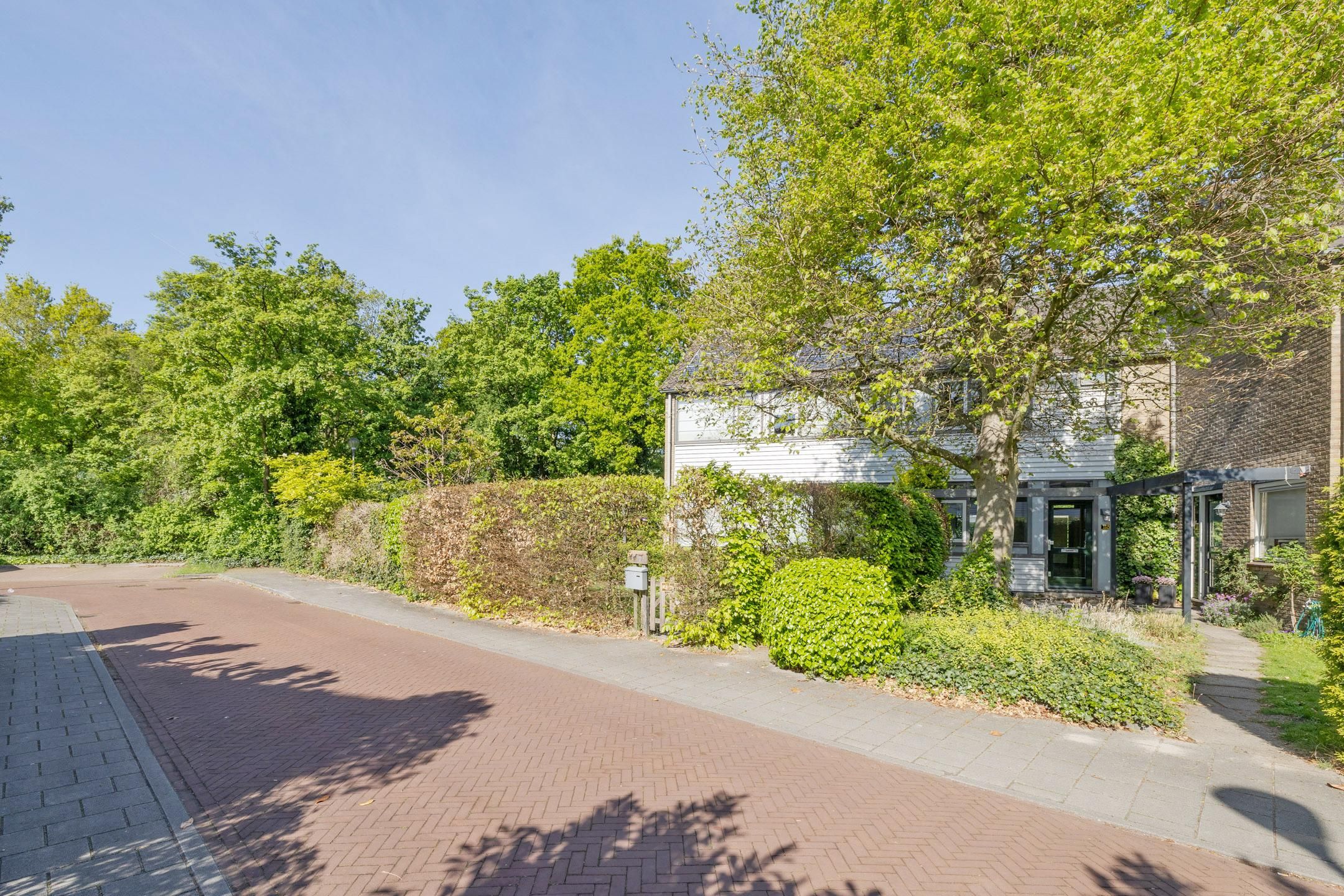 Foto 3 van Jac. P. Thijssepark 115