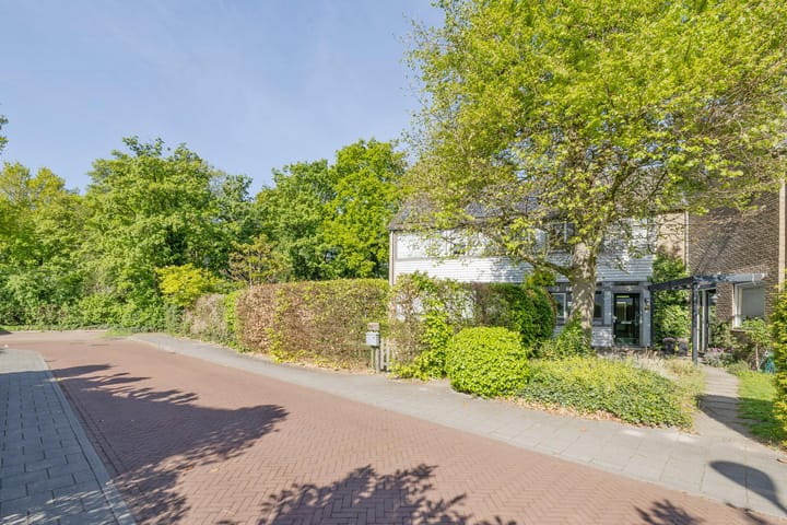 Foto 3 van Jac. P. Thijssepark 115