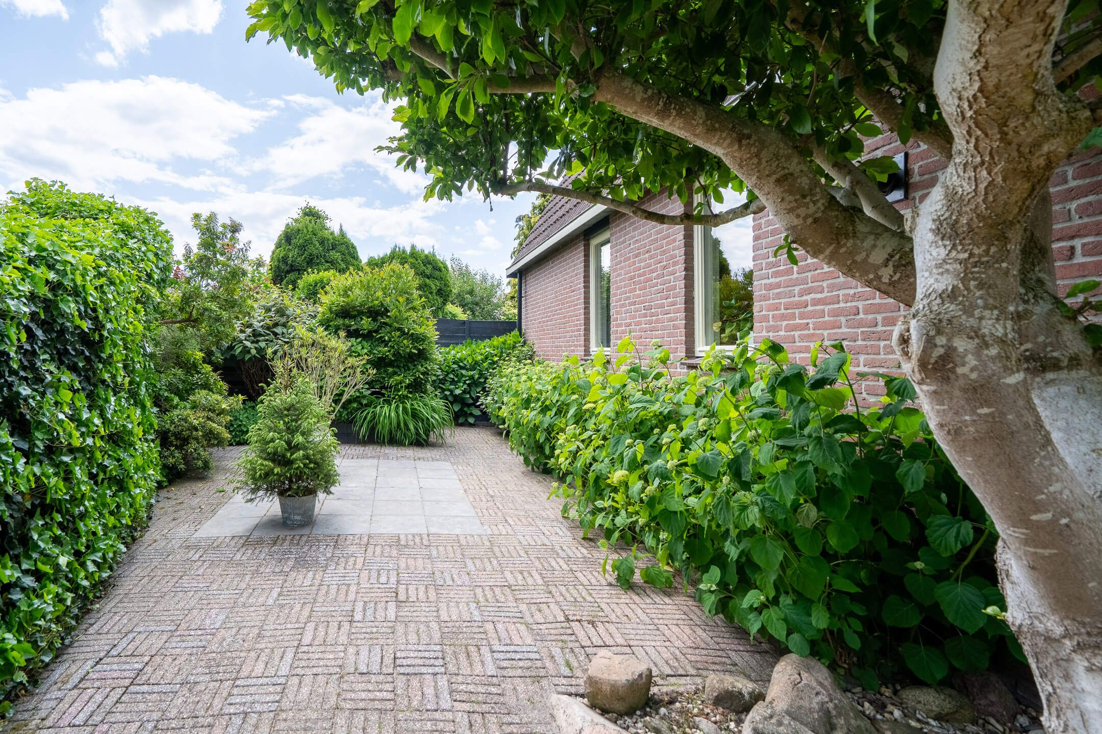 Foto 39 van Ommelanderwijk 78-A