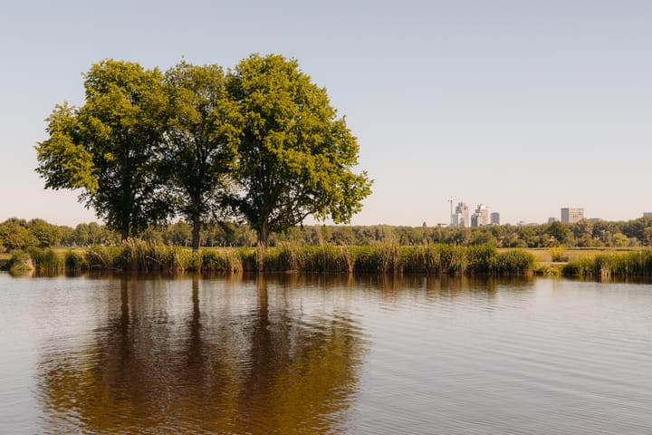 Foto 22 van Amsteldijk Noord 137