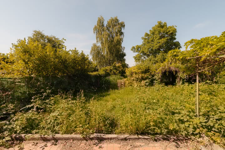 Foto 24 van Amsteldijk Noord 137