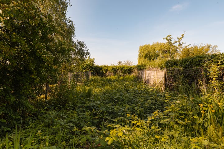 Foto 26 van Amsteldijk Noord 137