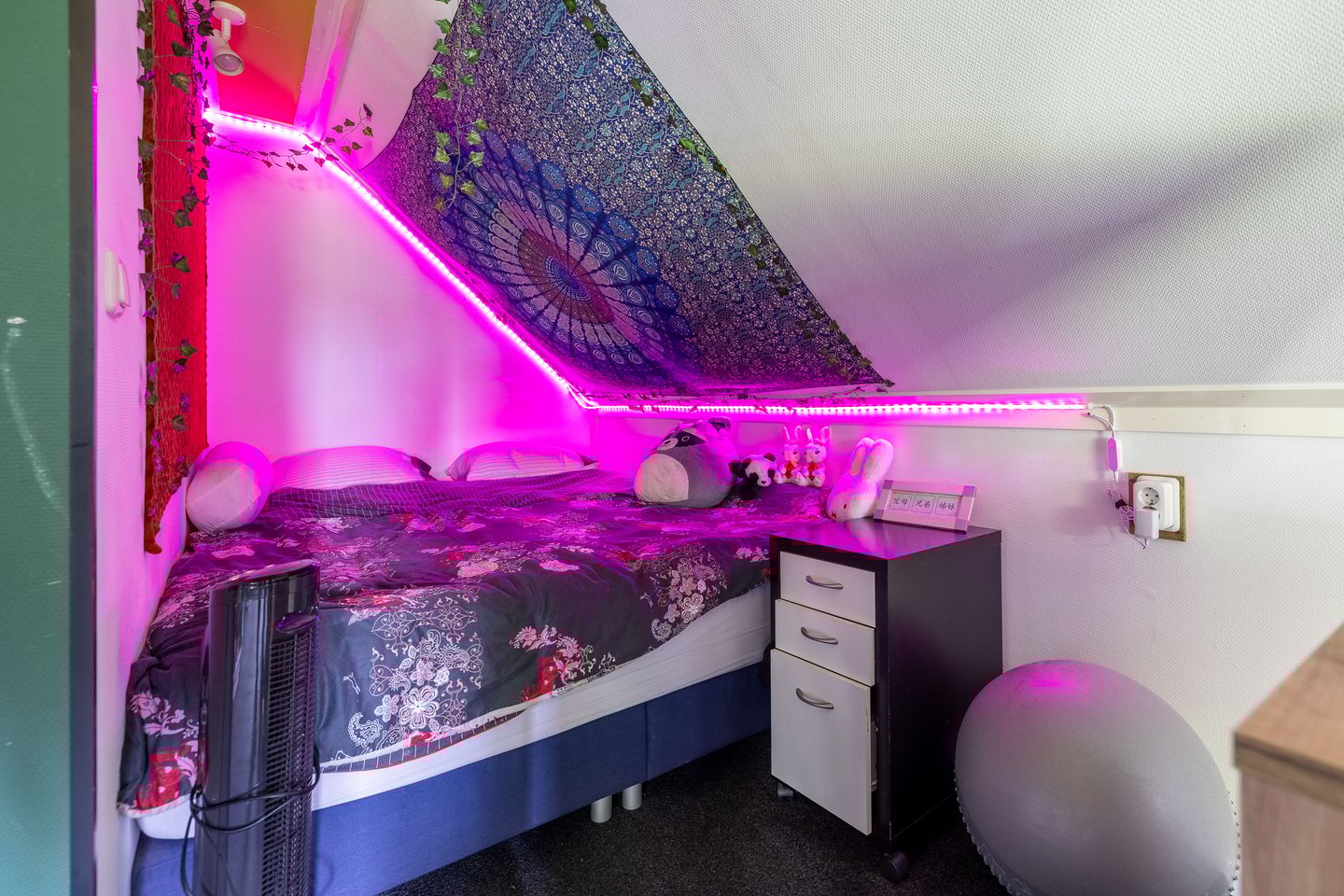 Foto 49 van Kasselderstraat 11