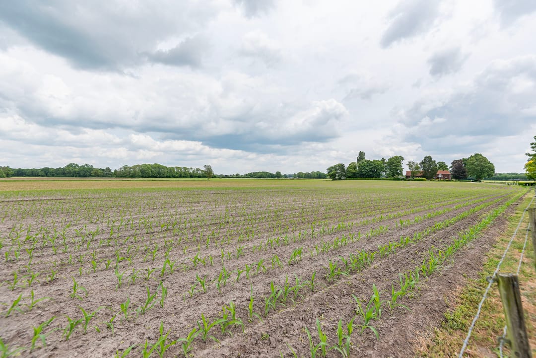 Foto 43 van het Rabelink 22