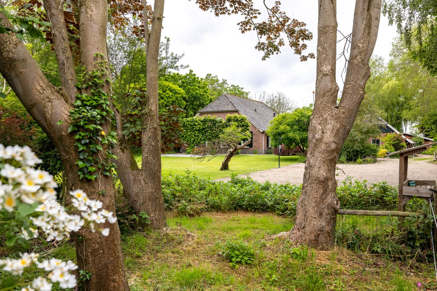 Foto 70 van Kasselderstraat 11