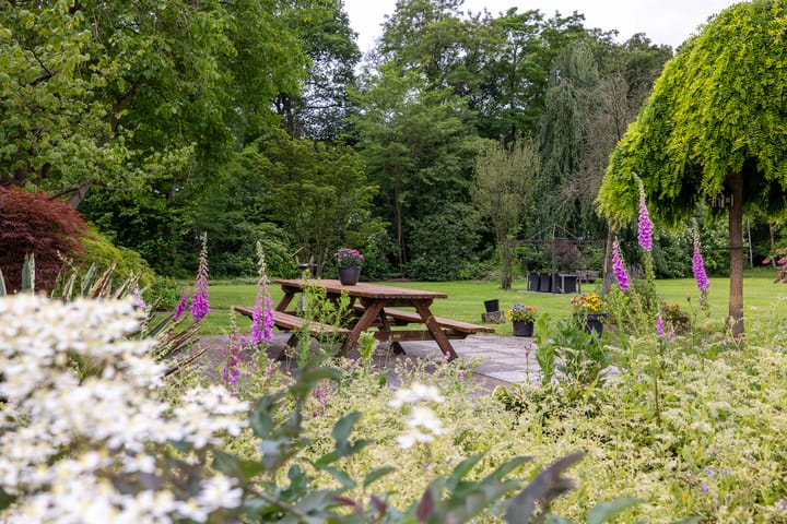 Foto 76 van Kasselderstraat 11