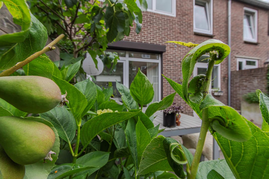 Foto 38 van Lintjensstraat 23