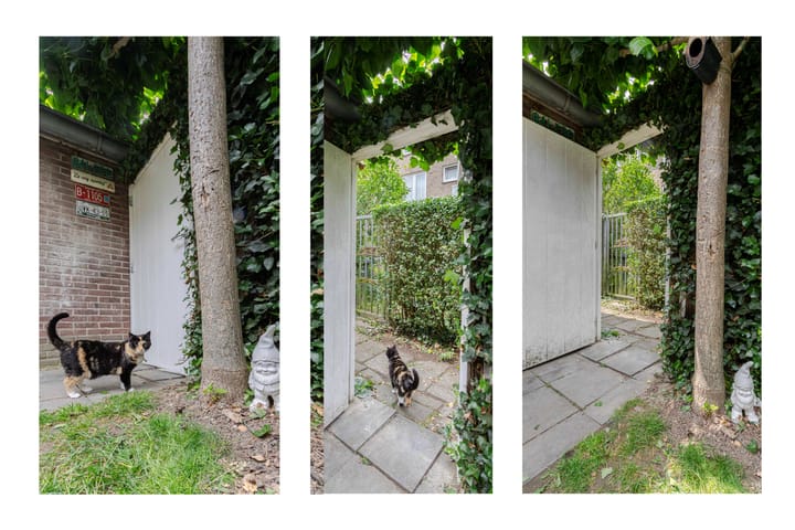 Foto 41 van Lintjensstraat 23