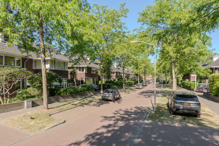 Foto 3 van Wagemakerspark 59