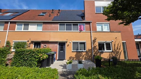 undefined main image