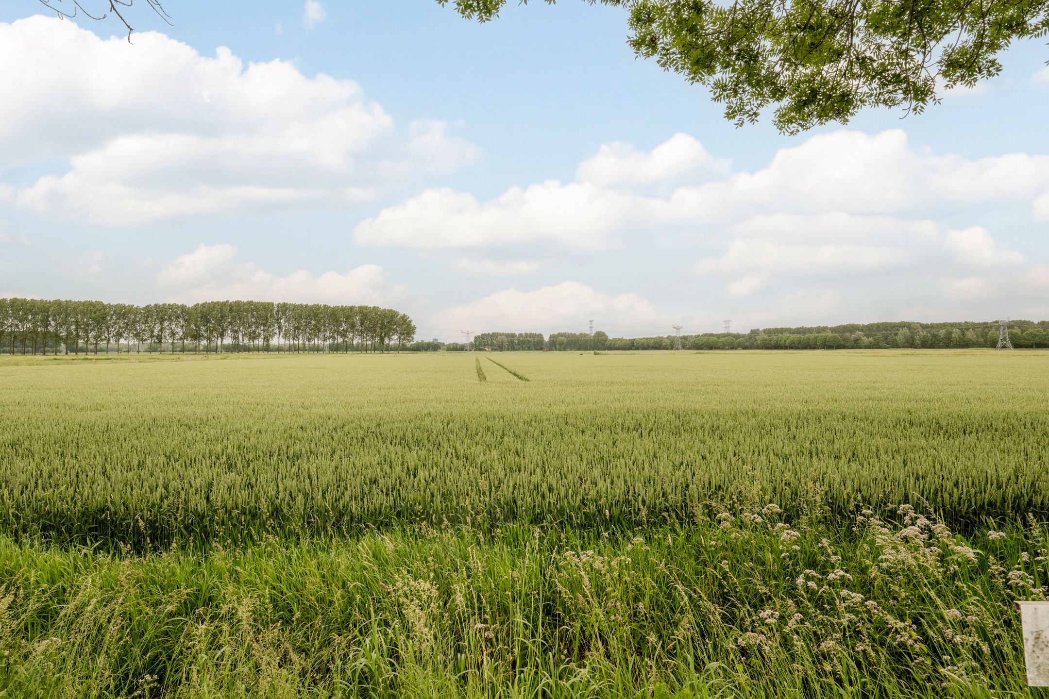 Photo 33 of Schermerhornstraat 15