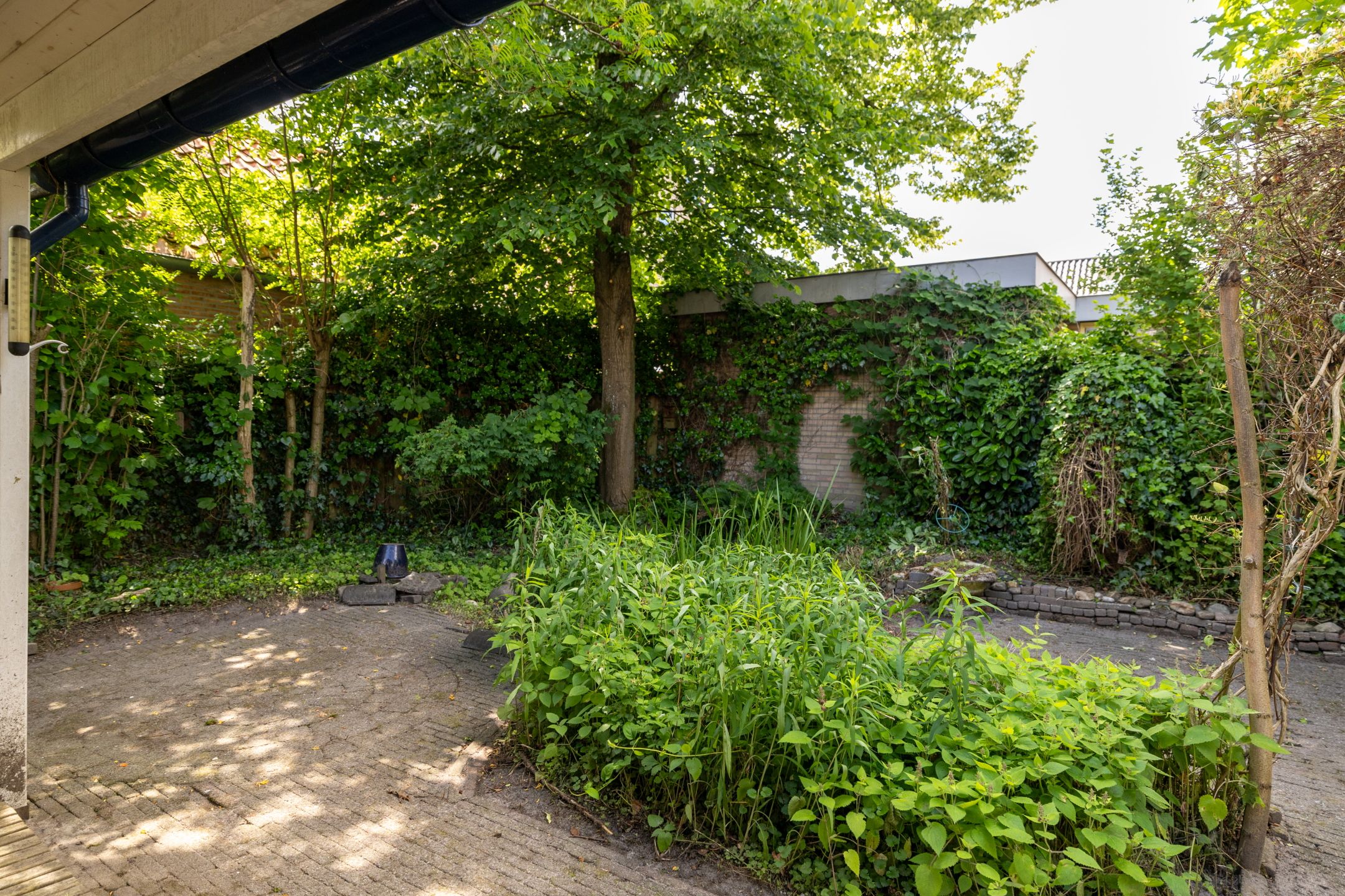 Photo 6 of Driestweg 18