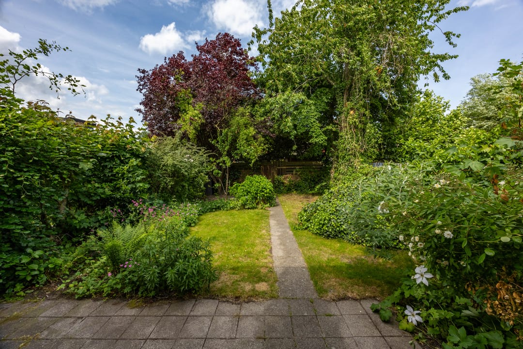 Foto 41 van P.J. Noël Bakerstraat 21