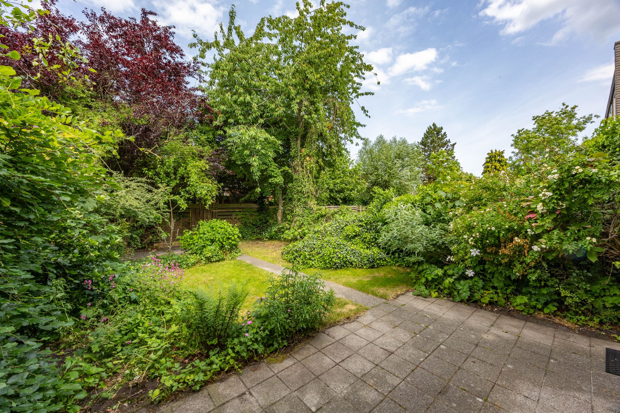 Foto 42 van P.J. Noël Bakerstraat 21