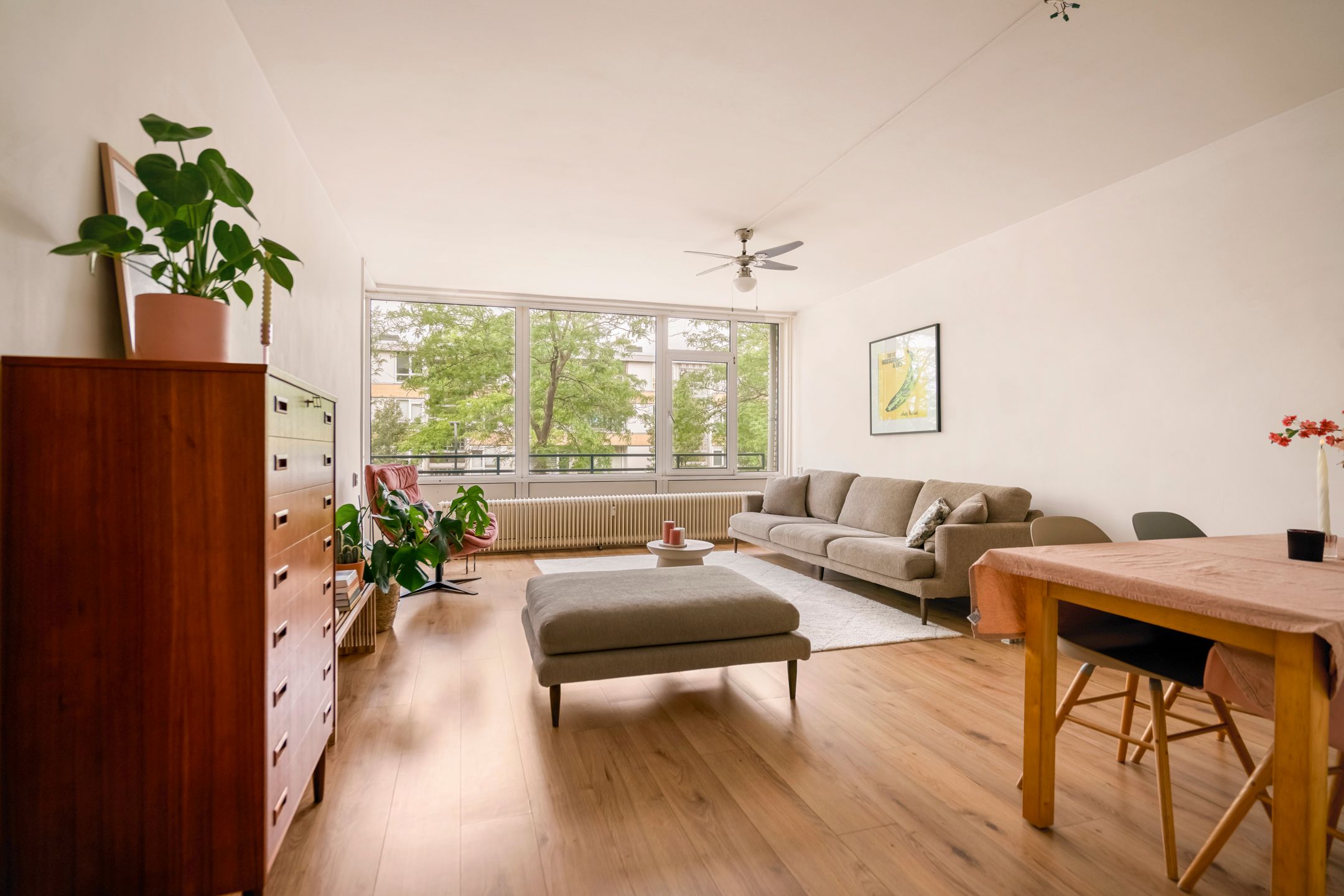 Foto 6 van William Harveystraat 22