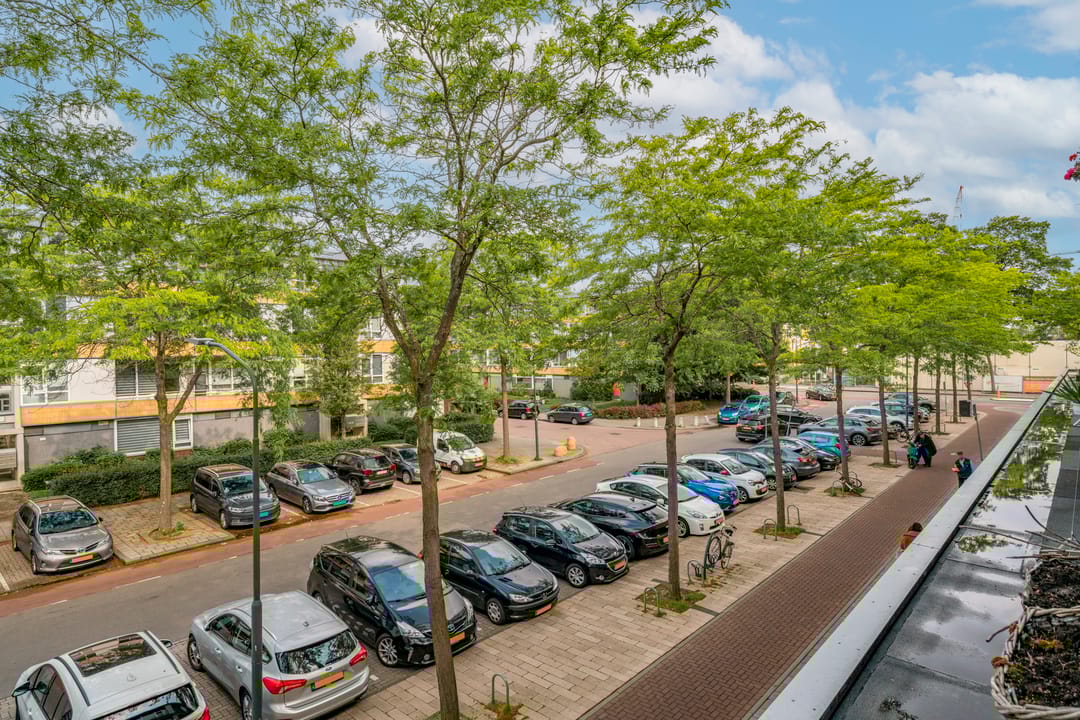 Foto 28 van William Harveystraat 22