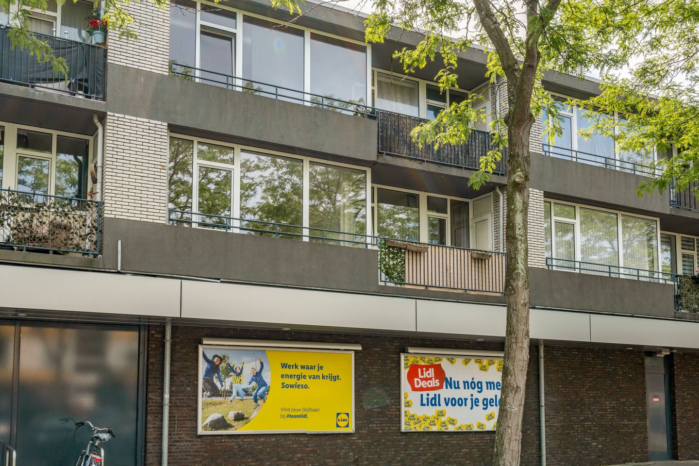 Foto 35 van William Harveystraat 22