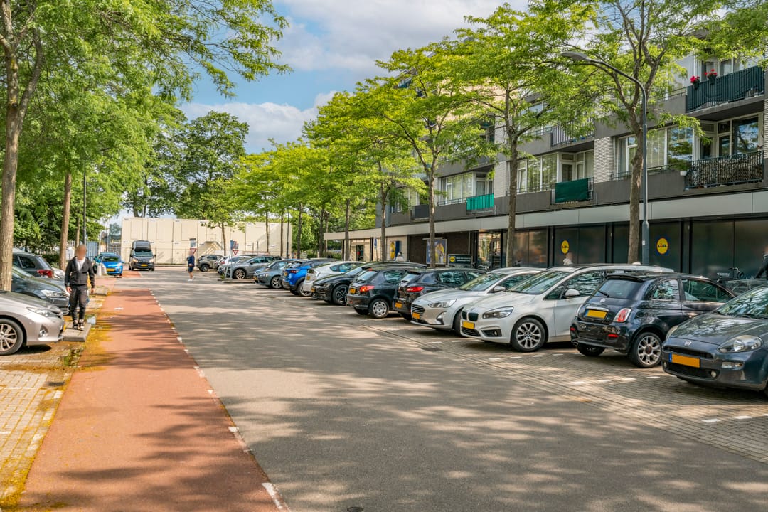 Foto 37 van William Harveystraat 22