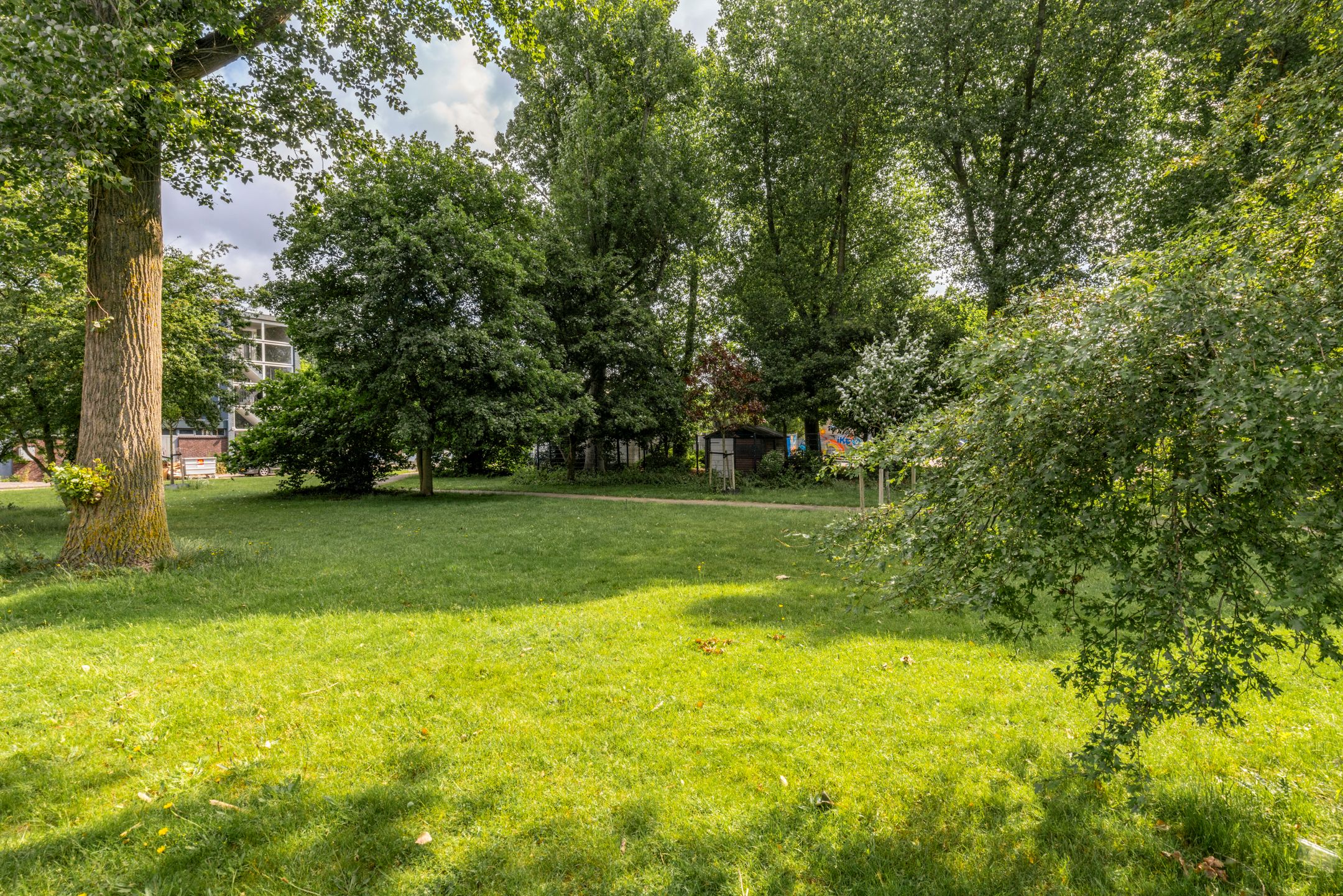 Foto 39 van William Harveystraat 22