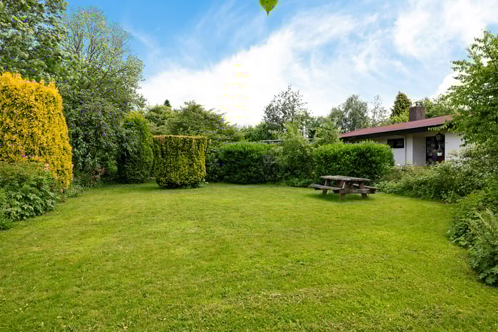 Photo 36 of Ringenum 14