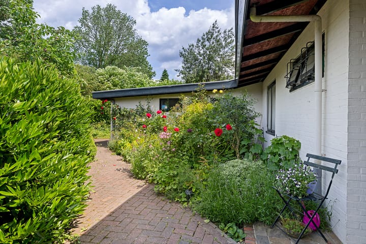 Photo 37 of Ringenum 14