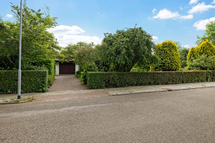 Photo 46 of Ringenum 14