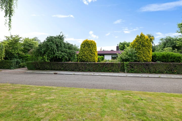 Photo 47 of Ringenum 14