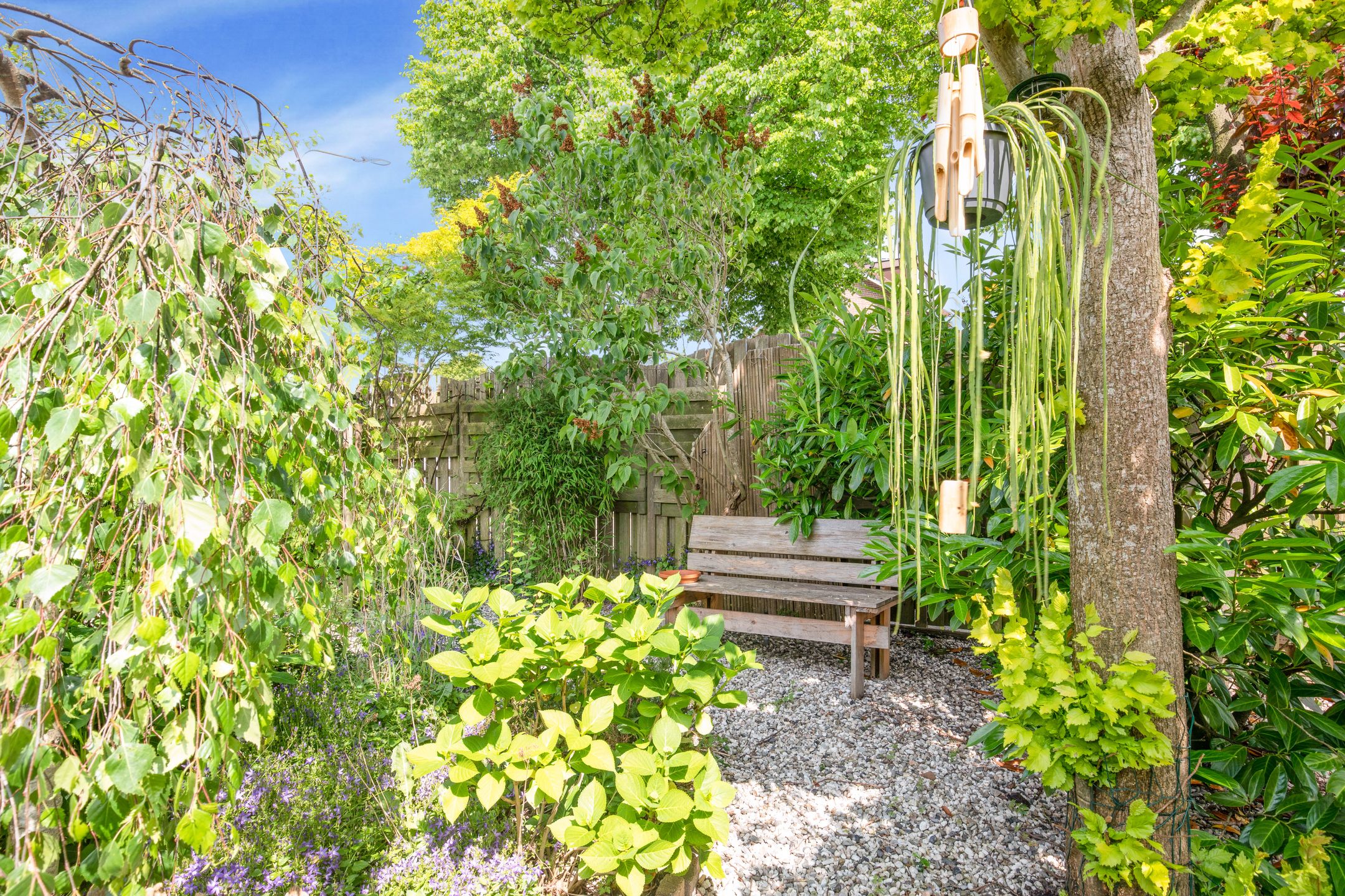 Foto 36 van Eerste Groenelaan 37