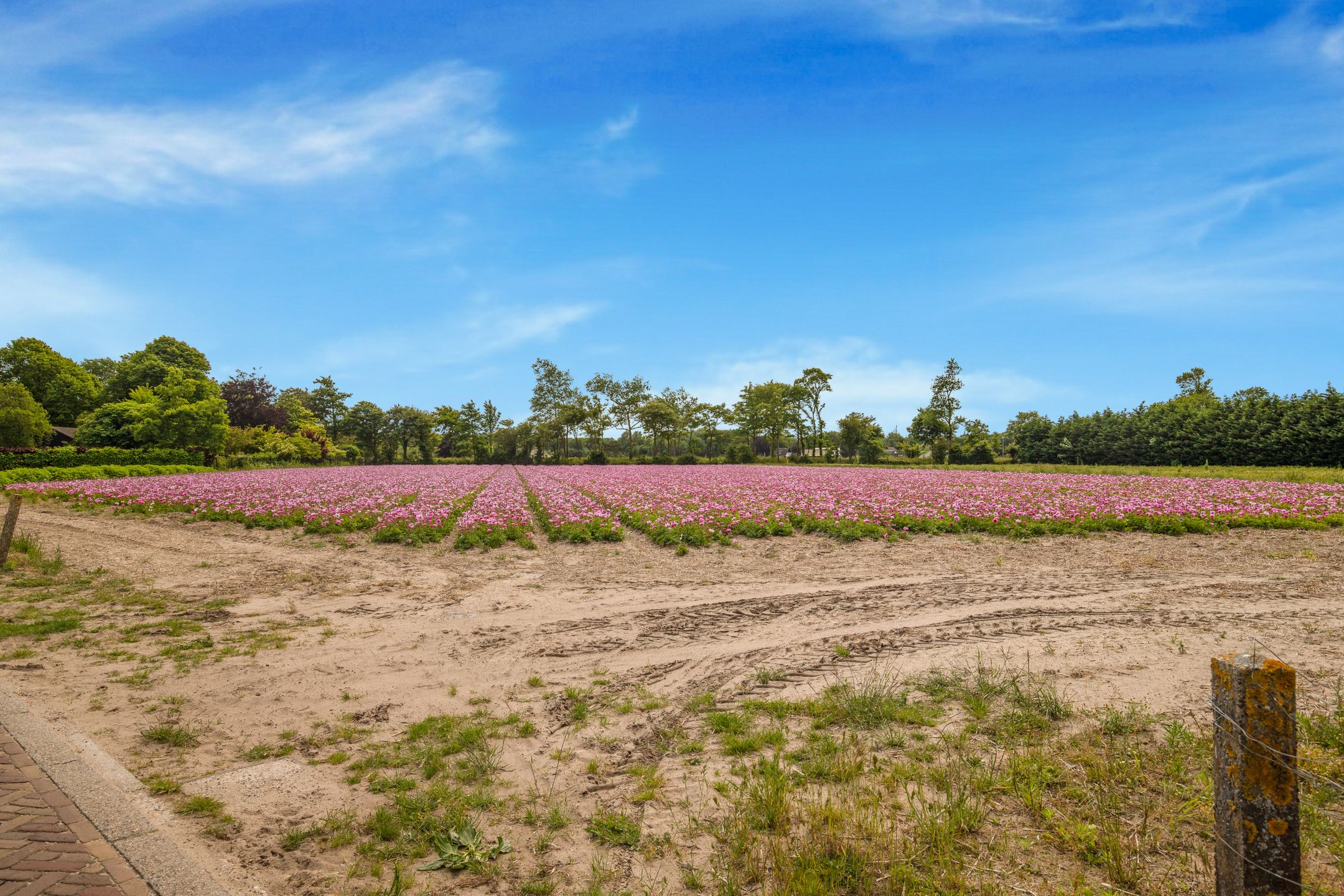 Foto 51 van Eerste Groenelaan 37